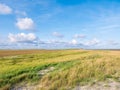 Salt marshes with sand couch and marram grass and sea lavender i Royalty Free Stock Photo