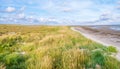 Salt marshes with sea lavender, dunes with sand couch and marram grass and tidal flats at low tide of Waddensea on Boschplaat, Te Royalty Free Stock Photo