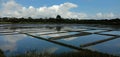 Salt marshes south of france