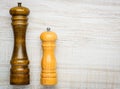 Salt Mill and Pepper Grinder Copy Space Royalty Free Stock Photo