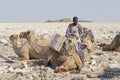 Salt miner working in the salt plains in the Danakil Depression in Ethiopia.