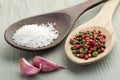 Salt, mix of peppercorns and garlic Royalty Free Stock Photo