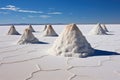 salt mounds created by wind on the desolate plains