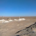 Salt Mounds near Chott El Jerid in Tunisia Royalty Free Stock Photo