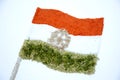 The salt, orenge chilly poweder,and anise spice indian flag memorial day or veteran`s day background on the white