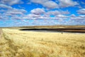 Salt Pan Royalty Free Stock Photo