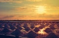 Salt pan or salt field Royalty Free Stock Photo