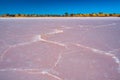 Salt pattern on pink lake surface. Royalty Free Stock Photo