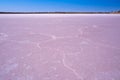 Salt Patterns On The Surface Of Pink Lake Crosbie.