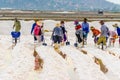 The salt people are raking salt in the salt field in Phan Rang Ninh Thuan, Vietnam