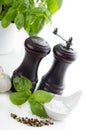 Salt and pepper Royalty Free Stock Photo