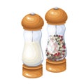 Salt and pepper grinder, spice shaker Royalty Free Stock Photo