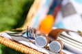 Salt And Pepper In Picnic Basket Royalty Free Stock Photo