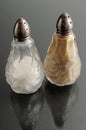 Salt and Pepper Shaker Royalty Free Stock Photo
