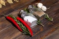 Salt and pepper shaker with bay leaf and red chili pepper, white garlic on background of wood Royalty Free Stock Photo