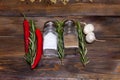 Salt and pepper shaker with bay leaf and red chili pepper, white garlic on background of wood, top view of the workspace Royalty Free Stock Photo