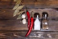 Salt and pepper shaker with bay leaf and red chili pepper, white garlic on background of wood, top view of the workspace Royalty Free Stock Photo