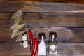 Salt and pepper shaker with bay leaf and red chili pepper, white garlic on background of wood, top view of the workspace Royalty Free Stock Photo