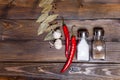 Salt and pepper shaker with bay leaf and red chili pepper, white garlic on background of wood, top view of the workspace Royalty Free Stock Photo