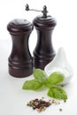Salt and pepper shaker Royalty Free Stock Photo