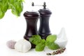 Salt and pepper shaker Royalty Free Stock Photo