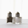 Salt and pepper shakers. Royalty Free Stock Photo