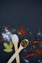 Salt and pepper on wooden spoons. With deco Royalty Free Stock Photo