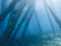 Salt Pier Bonaire