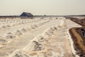 salt piles in the Saline from Samutsakorn, Thailand