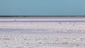 Salt pink lake surface close-up, blue sunny sky
