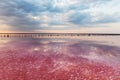 Salt in pink water in a salty pink lake on a sunny day. Amazing landscape. A lake with the unique properties of a wholesome salt.