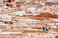 Salt ponds in Maras in Peru
