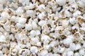 Salt Popcorn Texture Abstract Background. Big amount of pop corn Royalty Free Stock Photo