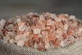 Salt price. Large crystals of pink Himalayan salt, close-up. A coin in a pile of salt as a symbol of rising prices. Royalty Free Stock Photo