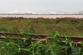 Salt production of Aigues-Mortes, Camargue, France