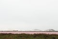 Salt production in Camargue, Aigues-Mortes, France