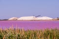 Salt production, pink lagoon and hills in the Mediterranean sea is located in Aigues-Mortes . Camargue, France. Hight Royalty Free Stock Photo