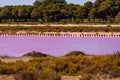 Salt production, pink lagoon and hills in the Mediterranean sea is located in Aigues-Mortes . Camargue, France. Hight Royalty Free Stock Photo