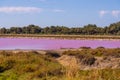 Salt production, pink lagoon and hills in the Mediterranean sea is located in Aigues-Mortes . Camargue, France. Hight Royalty Free Stock Photo