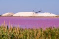 Salt production, pink lagoon and hills in the Mediterranean sea is located in Aigues-Mortes . Camargue, France. Hight Royalty Free Stock Photo