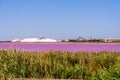 Salt production, pink lagoon and hills in the Mediterranean sea is located in Aigues-Mortes . Camargue, France. Hight Royalty Free Stock Photo