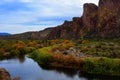 Salt River Recreation Area Arizona Royalty Free Stock Photo