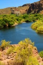 Salt River Recreation Area Arizona Royalty Free Stock Photo