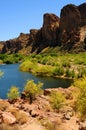 Salt River Recreation Area Arizona Royalty Free Stock Photo