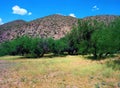 Salt River Recreation Area Arizona Royalty Free Stock Photo