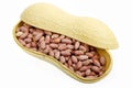 Salt-roasted peanuts Royalty Free Stock Photo