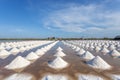 Salt in sea salt farm ready for harvest, Thailand. Royalty Free Stock Photo