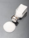 Salt shaker Royalty Free Stock Photo