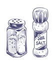 Salt shaker. Glass bottles salting powder and crystals hand drawn sketch illustration, saltshaker with himalayan or sea