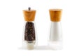 The salt shaker and papper Royalty Free Stock Photo